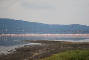 tumblr_l7pekuT7hs1qcjrlqo1_500