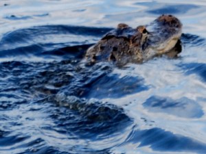 tumblr_lqgow0V2hw1qctrdd