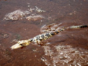 tumblr_lqgozylKaN1qctrdd