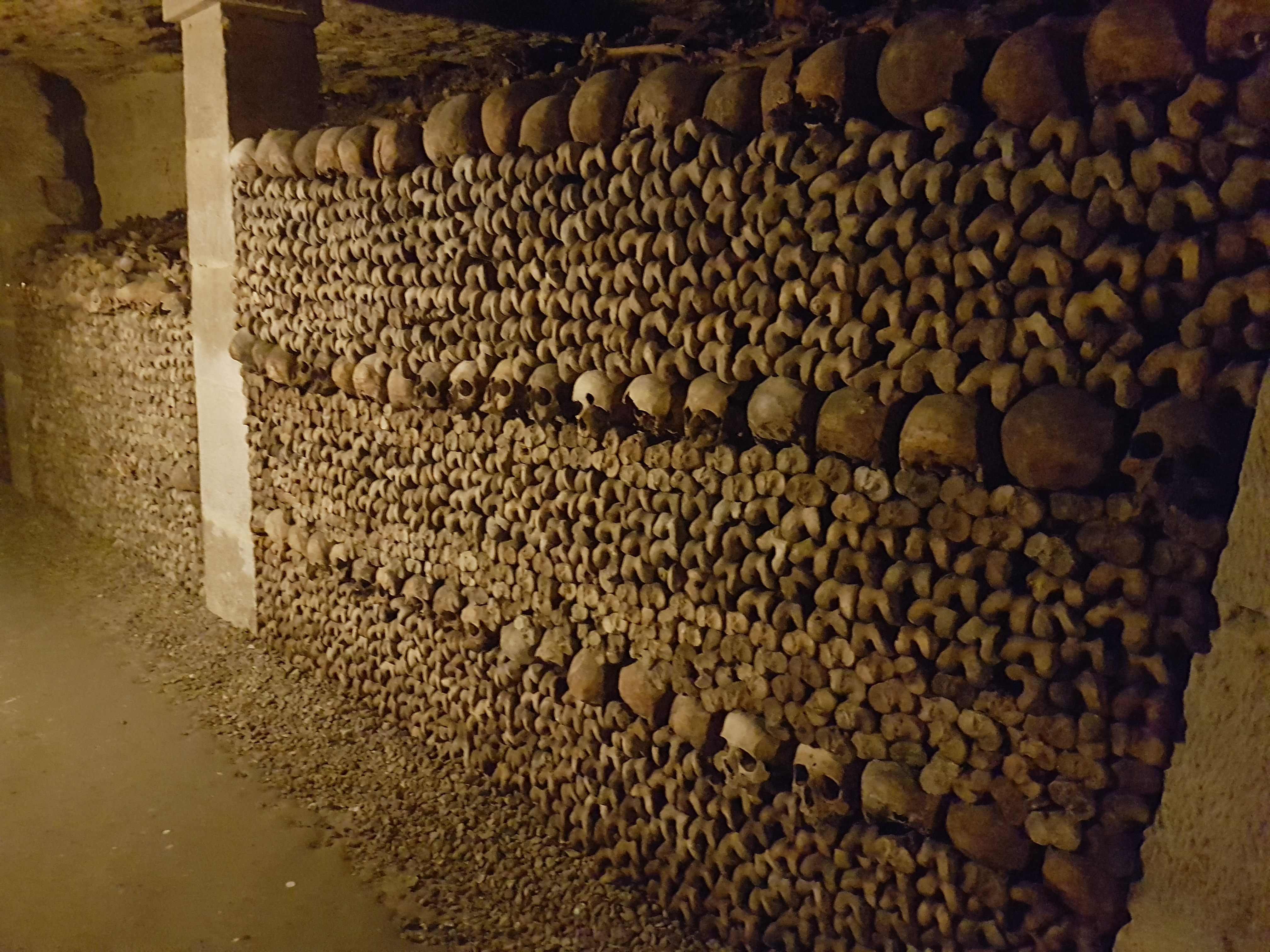 Millions of bones